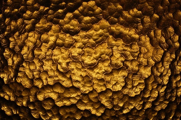 Untitled Image