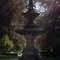 Untitled Image