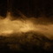 Untitled Image