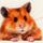 Hello there! A picture of a hamster.